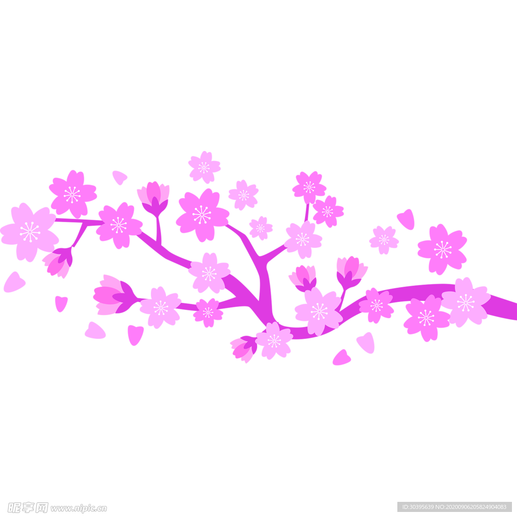 鲜花素材