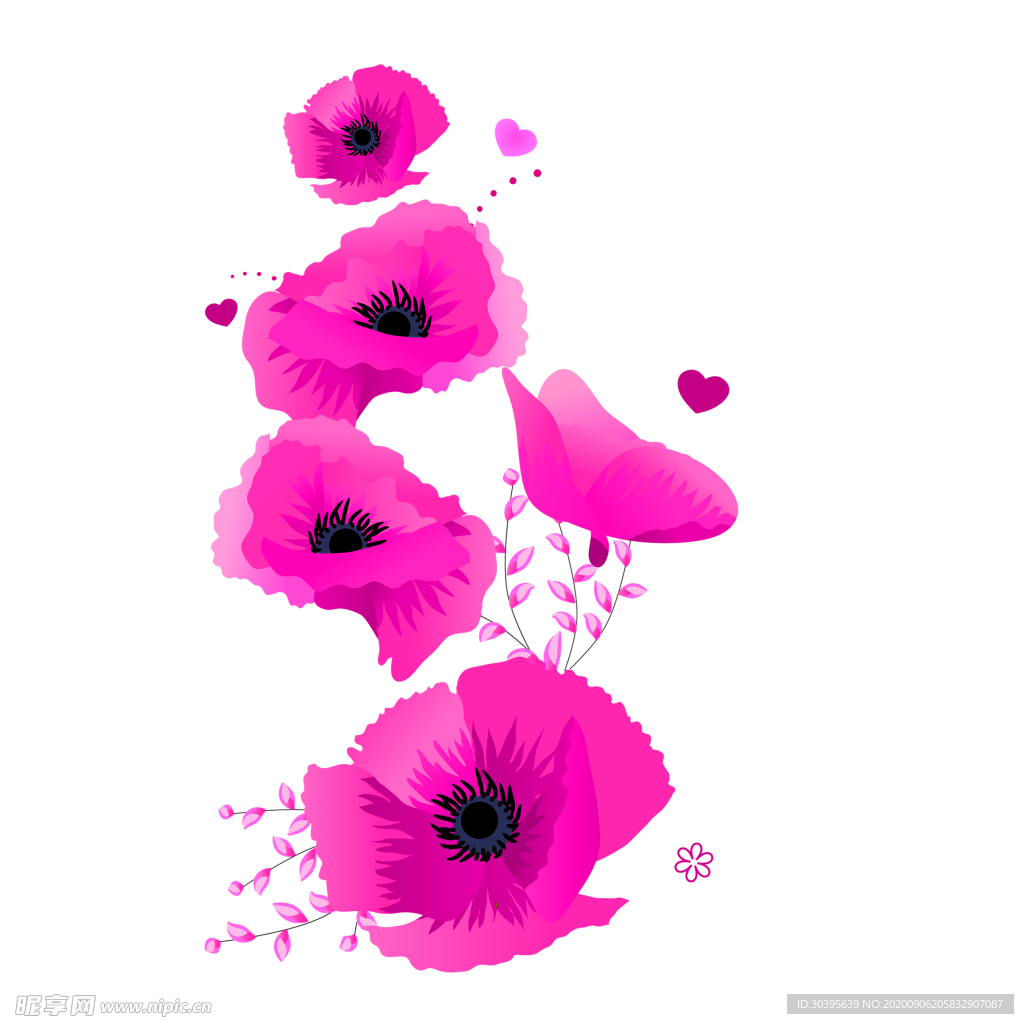 鲜花素材