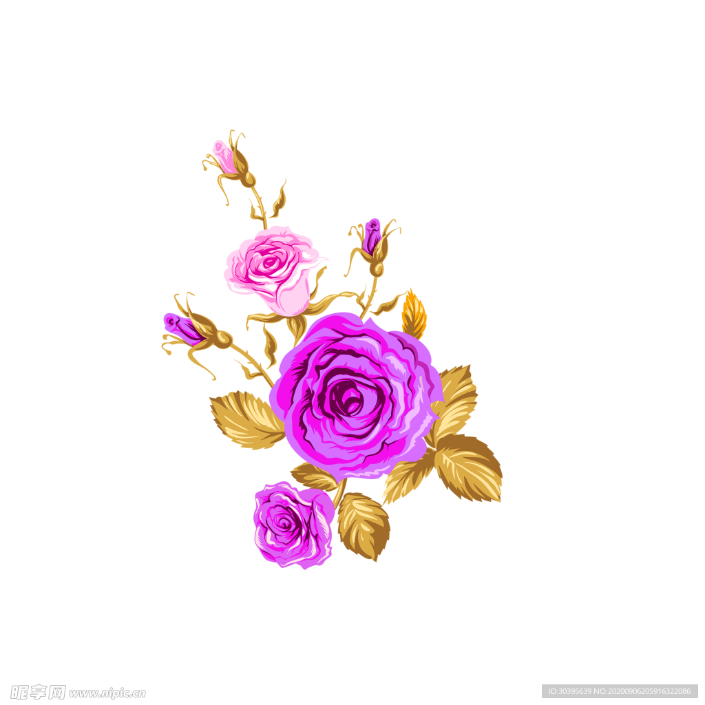 鲜花素材
