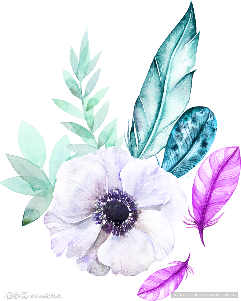鲜花素材