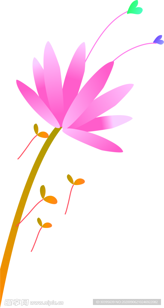 鲜花素材