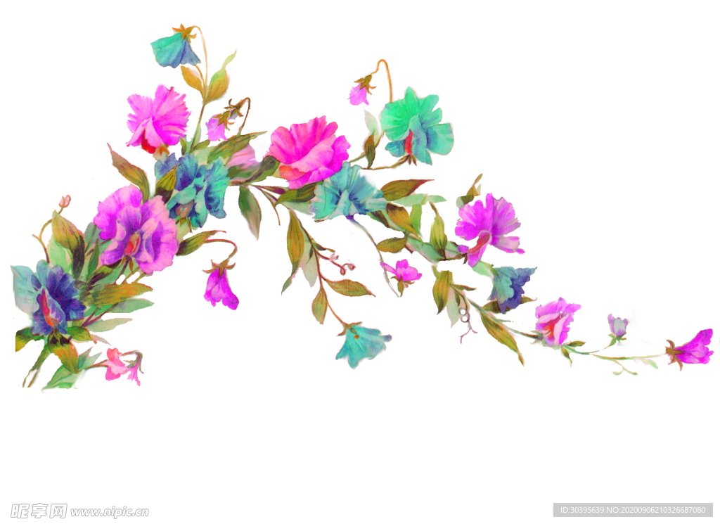 鲜花素材