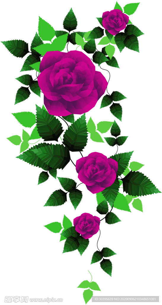 鲜花素材