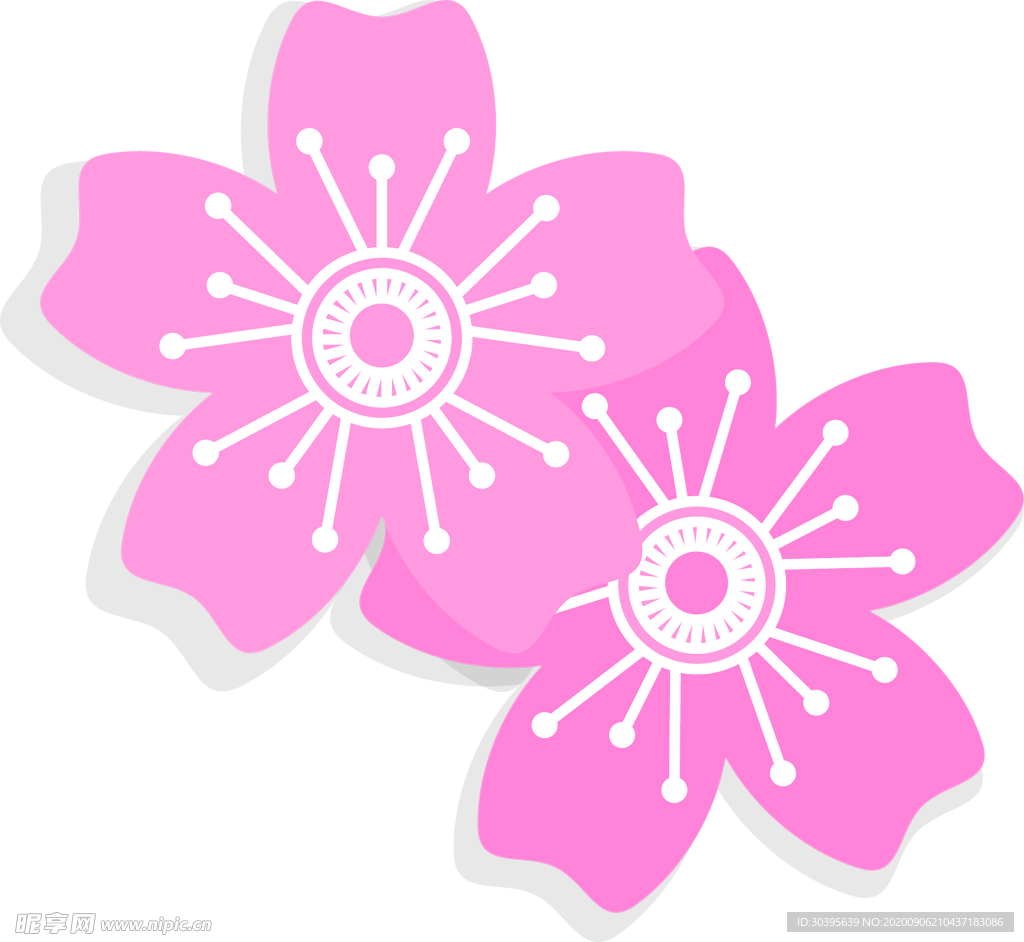鲜花素材