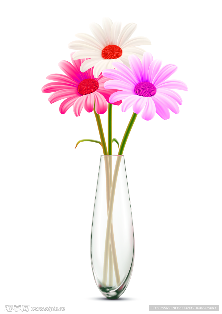 鲜花素材
