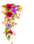 鲜花素材