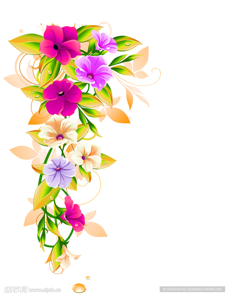 鲜花素材