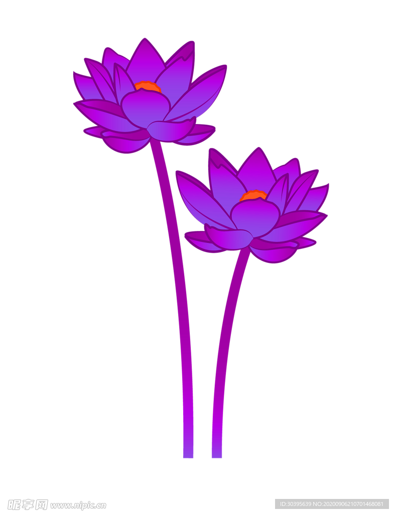 鲜花素材
