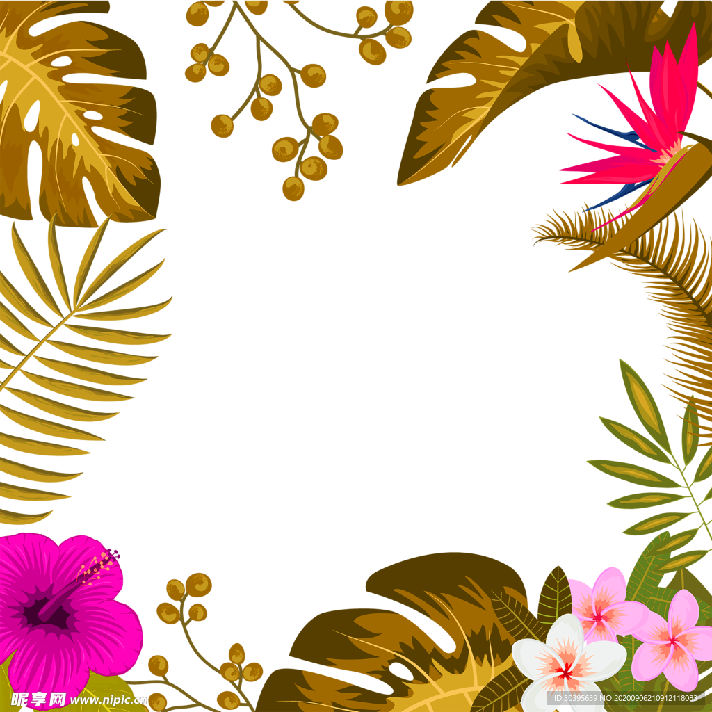 鲜花素材