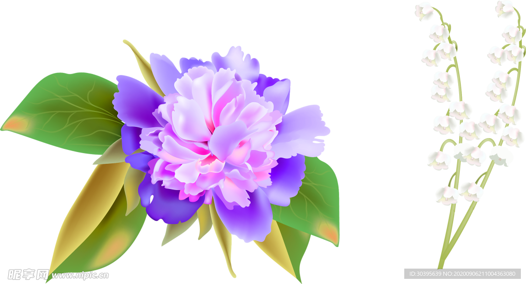 鲜花素材