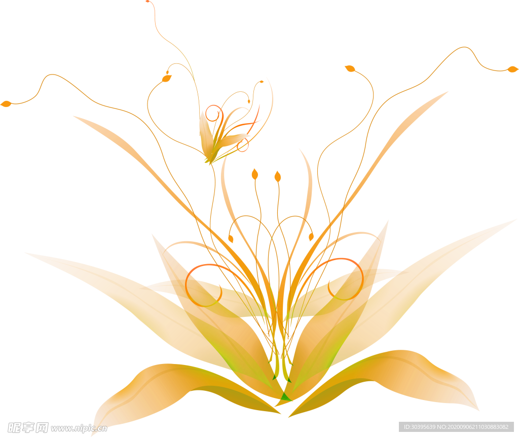 鲜花素材