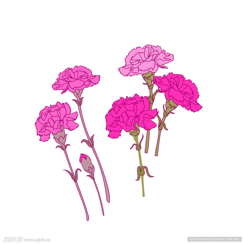 鲜花素材