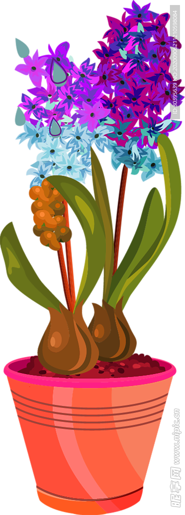 鲜花素材