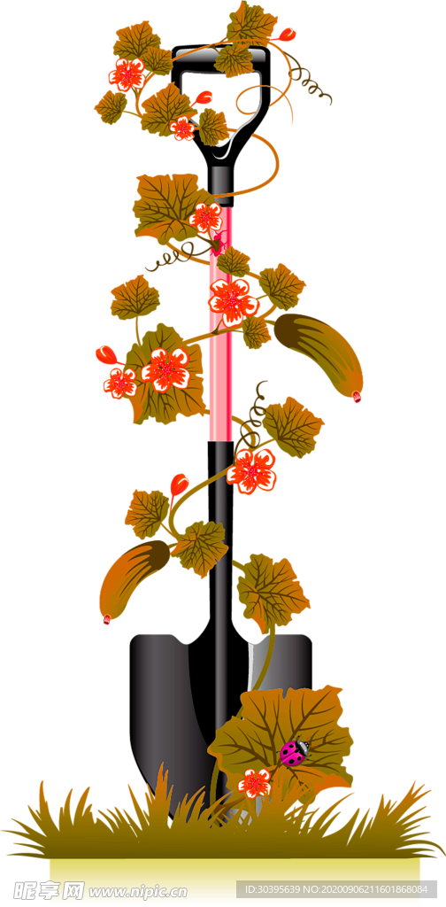 鲜花素材