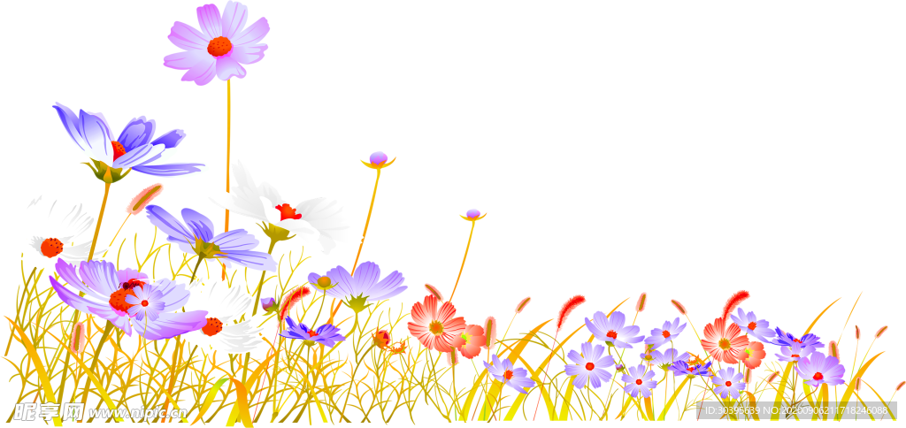 鲜花素材