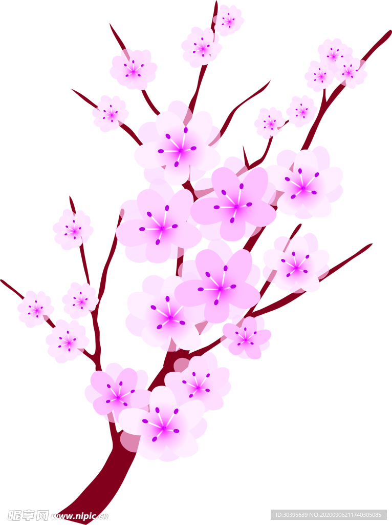 鲜花素材