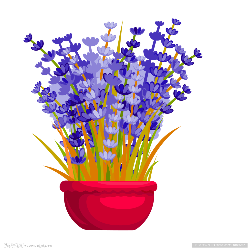 鲜花素材