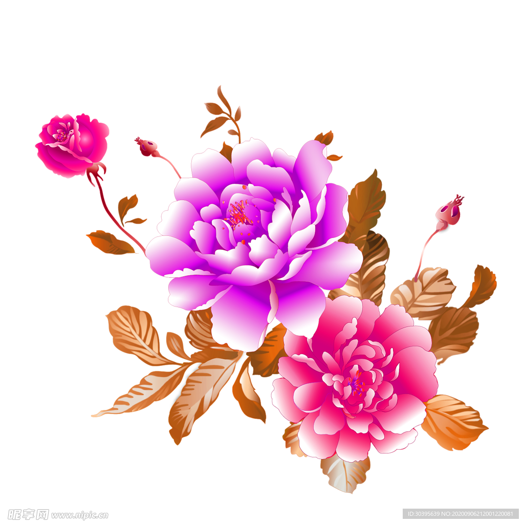 鲜花素材