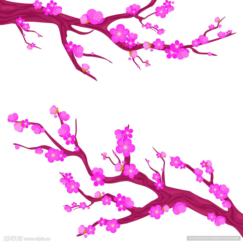 鲜花素材