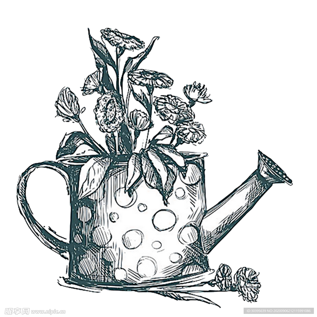 鲜花素材