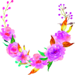 鲜花素材