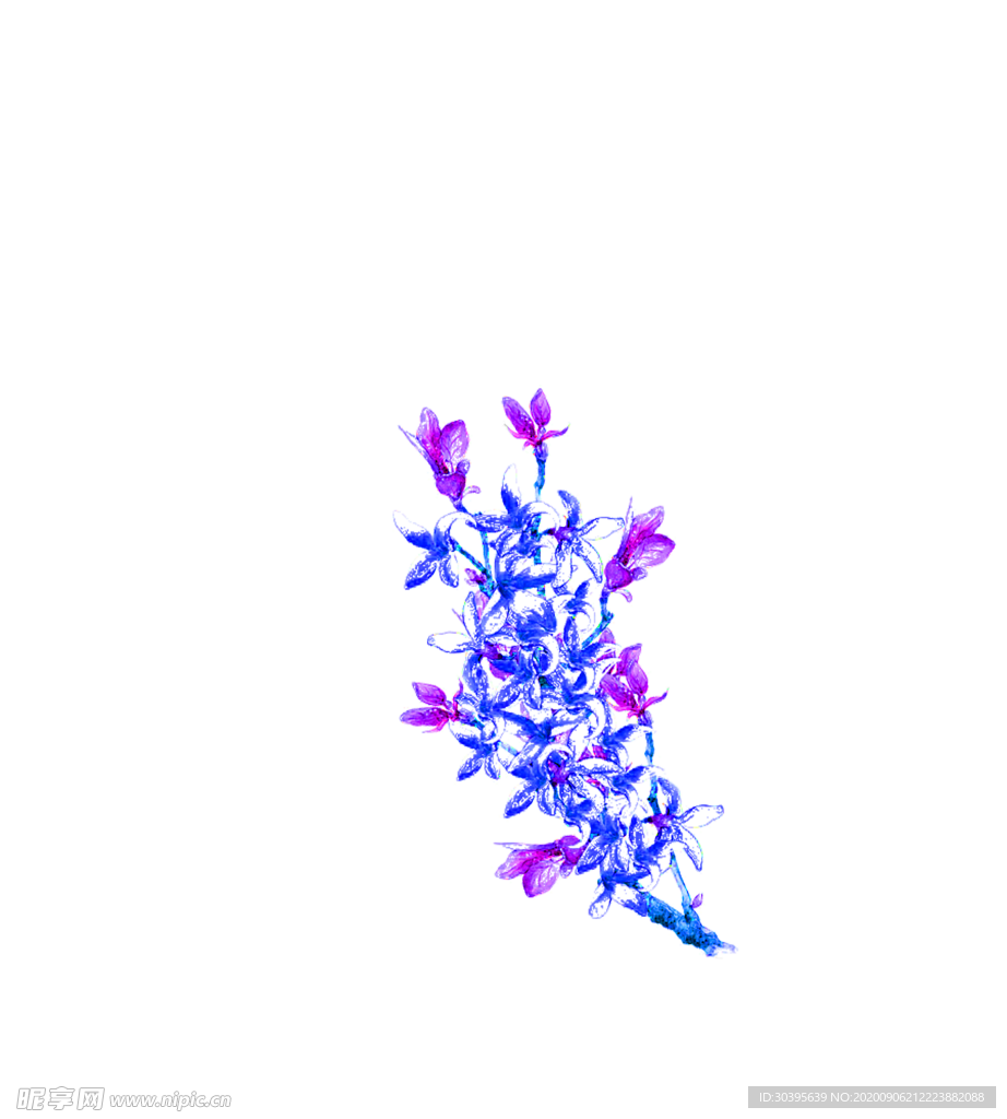鲜花素材