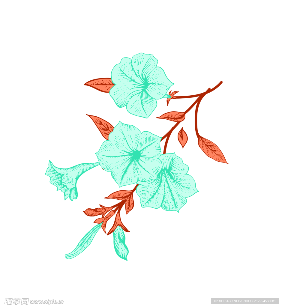 鲜花素材