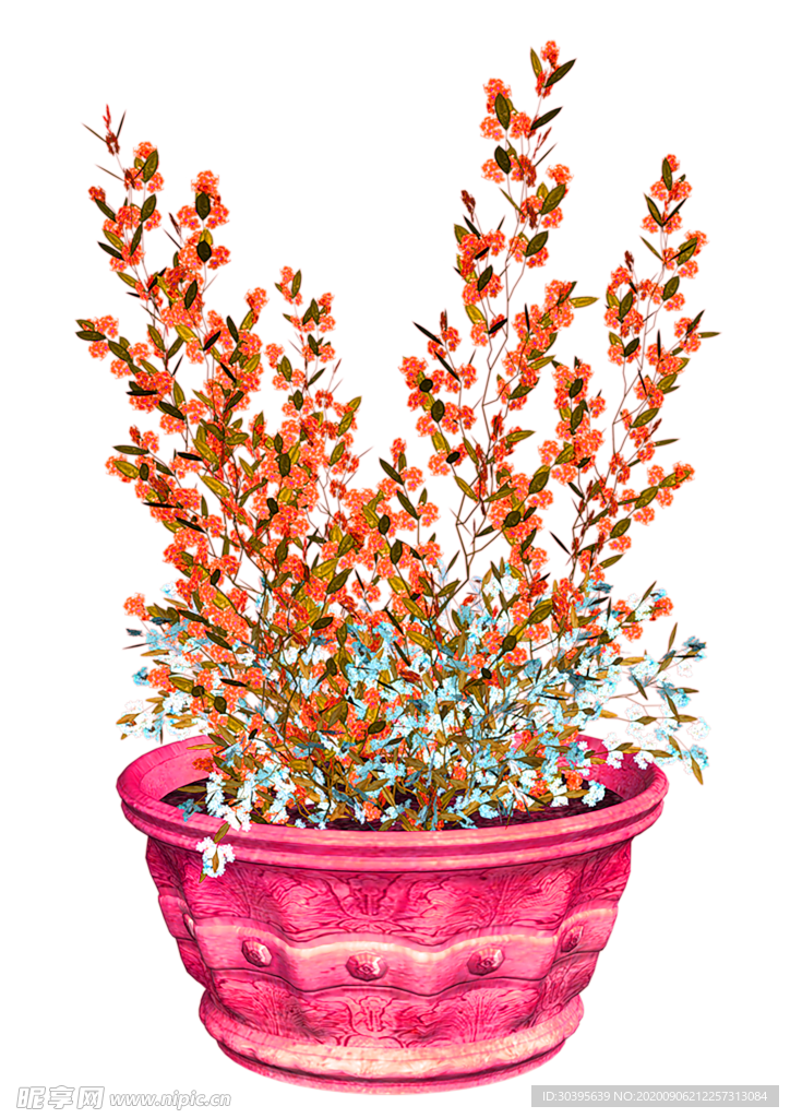 鲜花素材