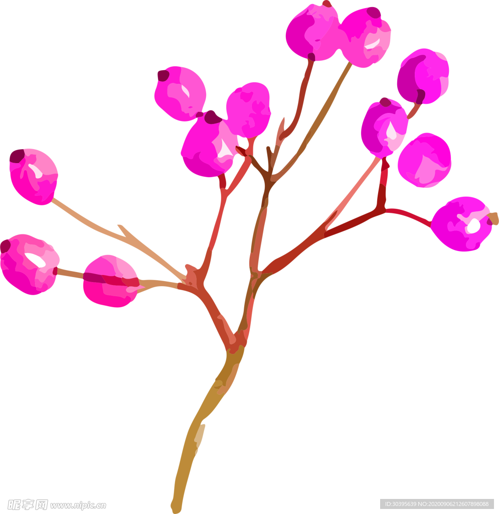鲜花素材