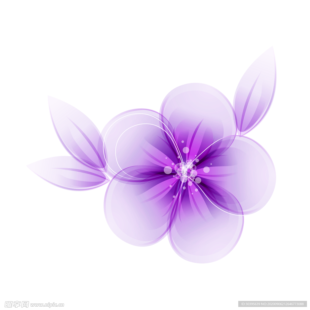 鲜花素材