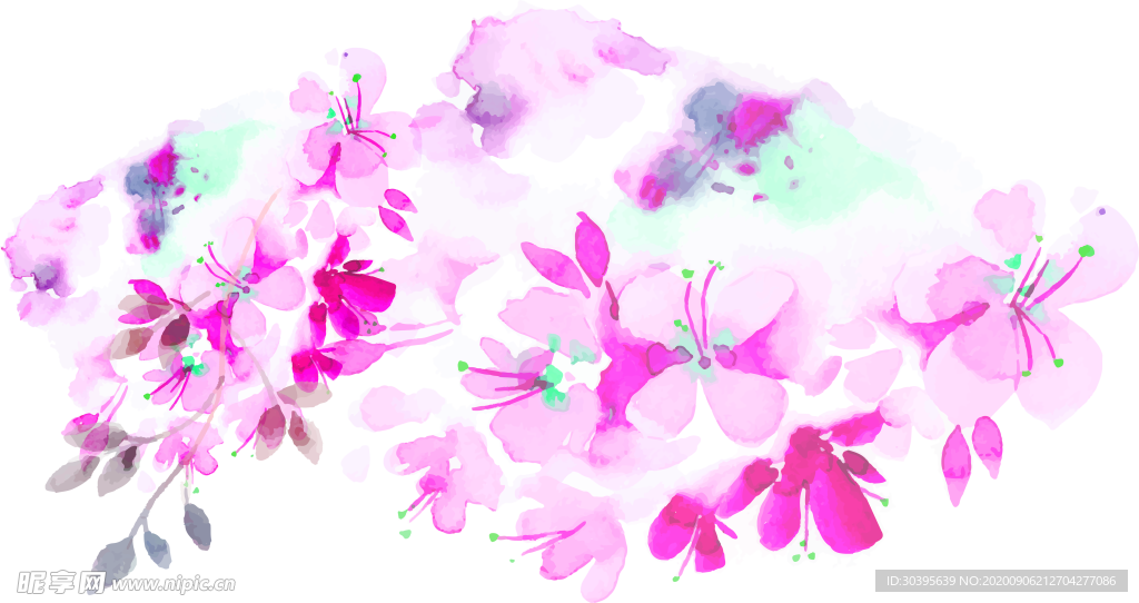 鲜花素材