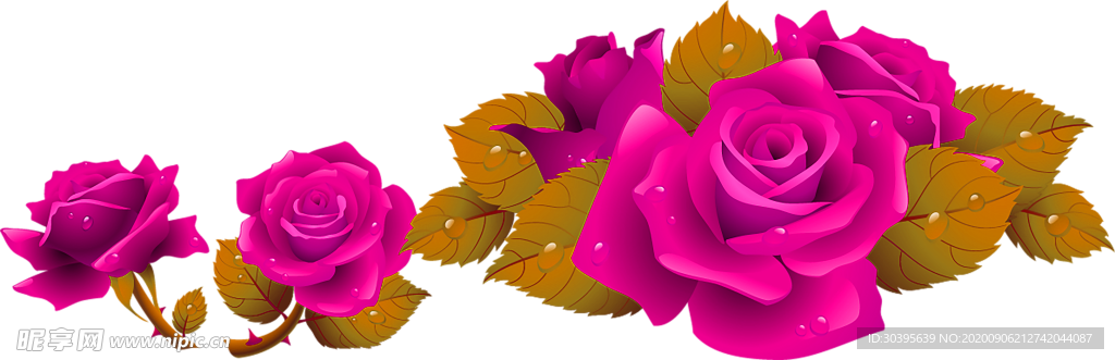 鲜花素材