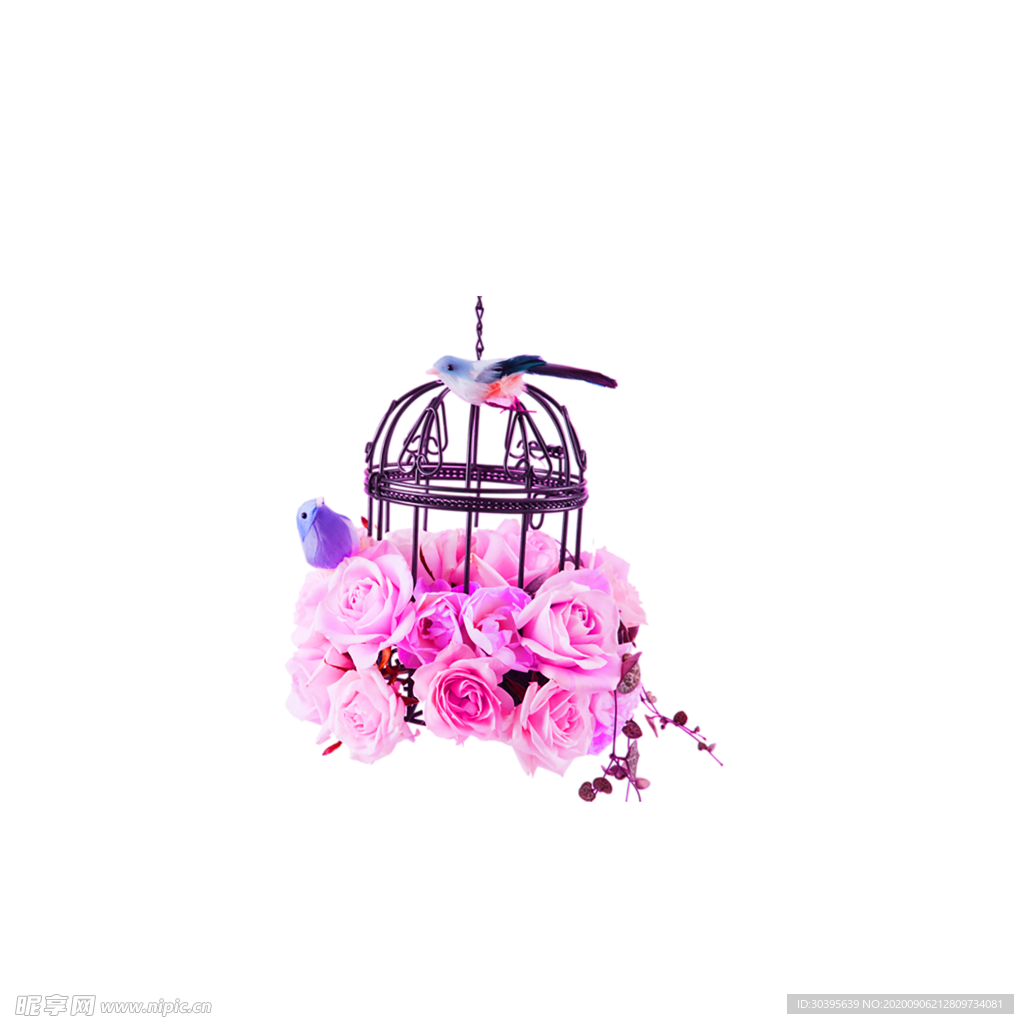 鲜花素材