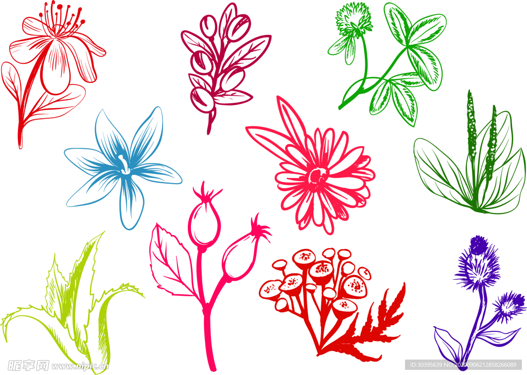 鲜花素材