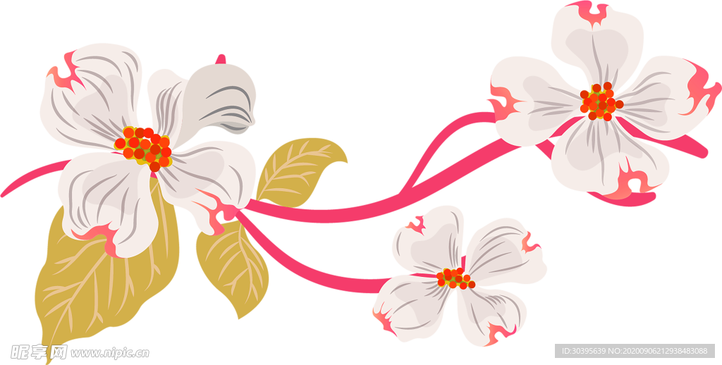 鲜花素材