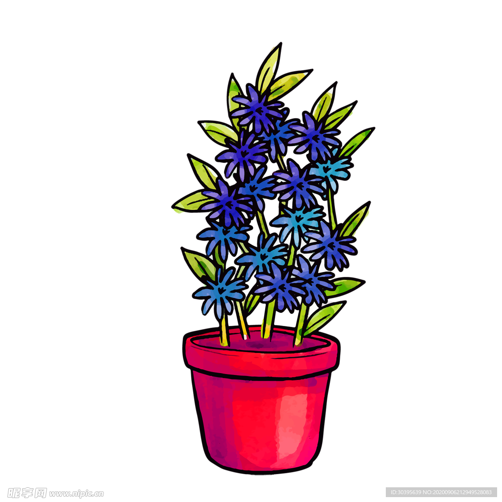 鲜花素材