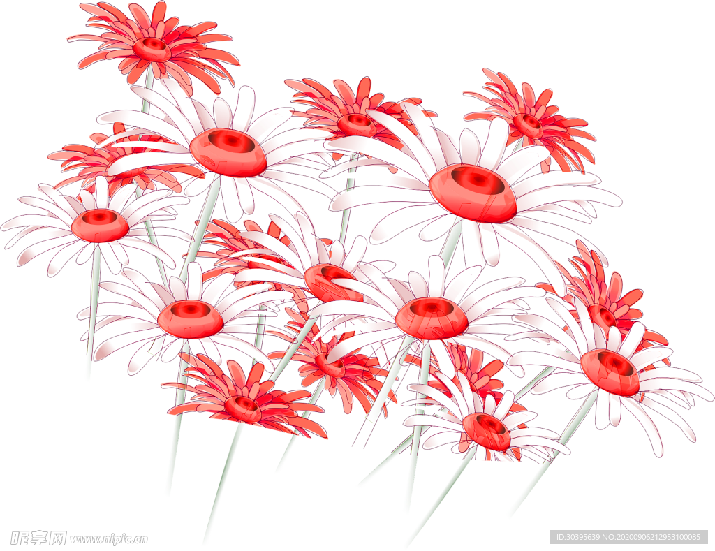 鲜花素材