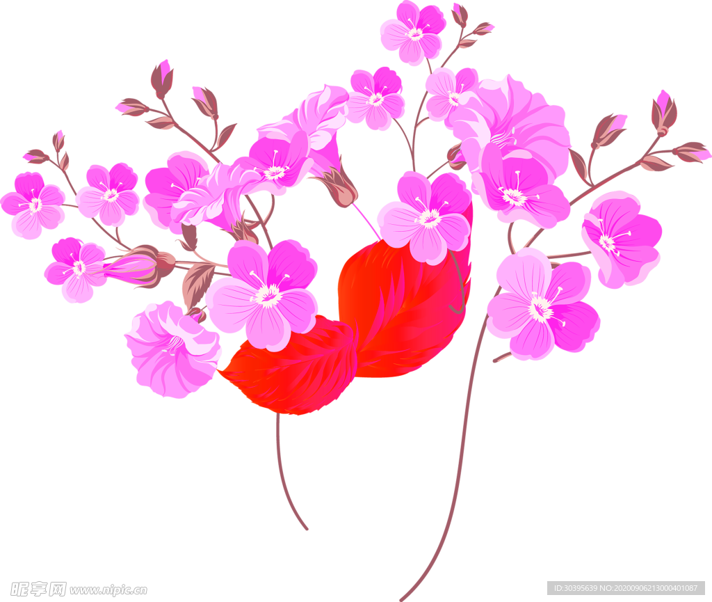 鲜花素材