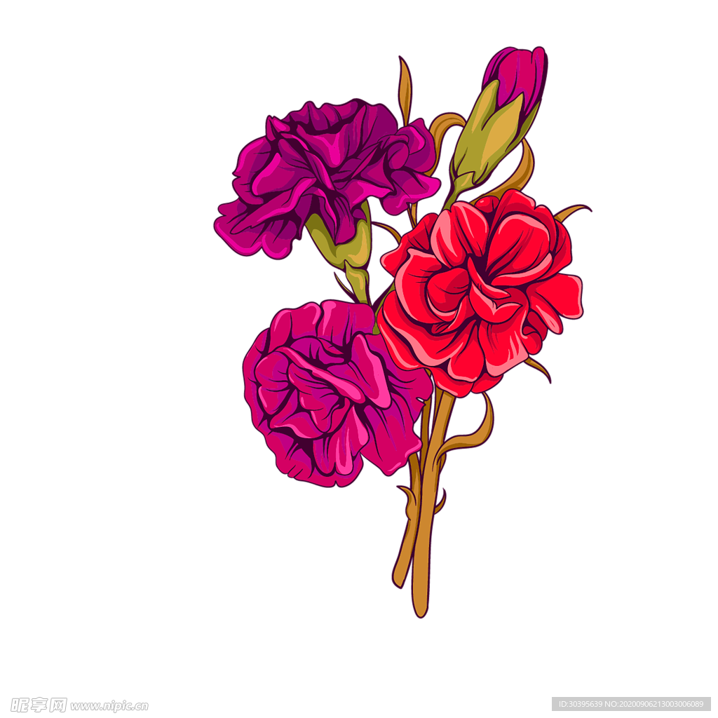 鲜花素材