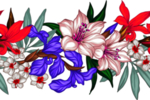 鲜花素材