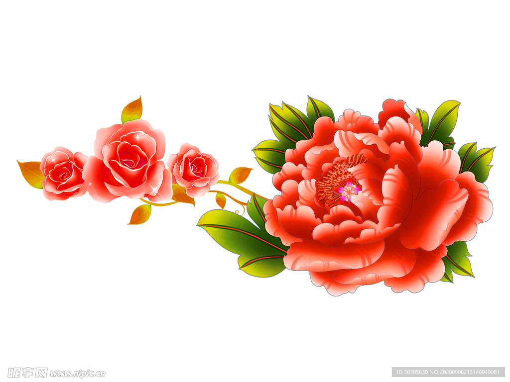 鲜花素材