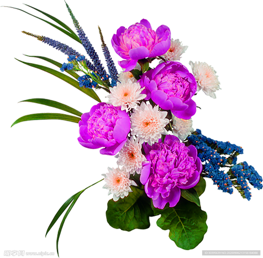 鲜花素材