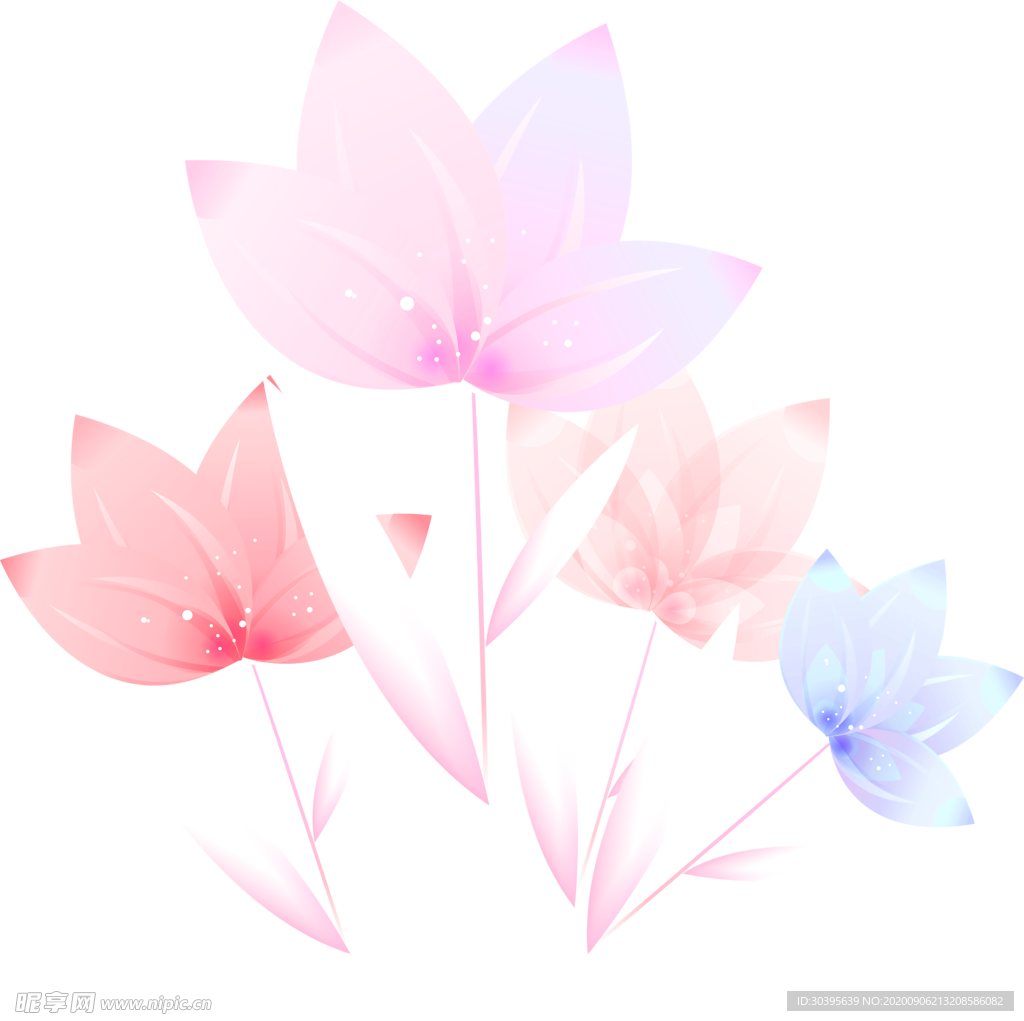 鲜花素材