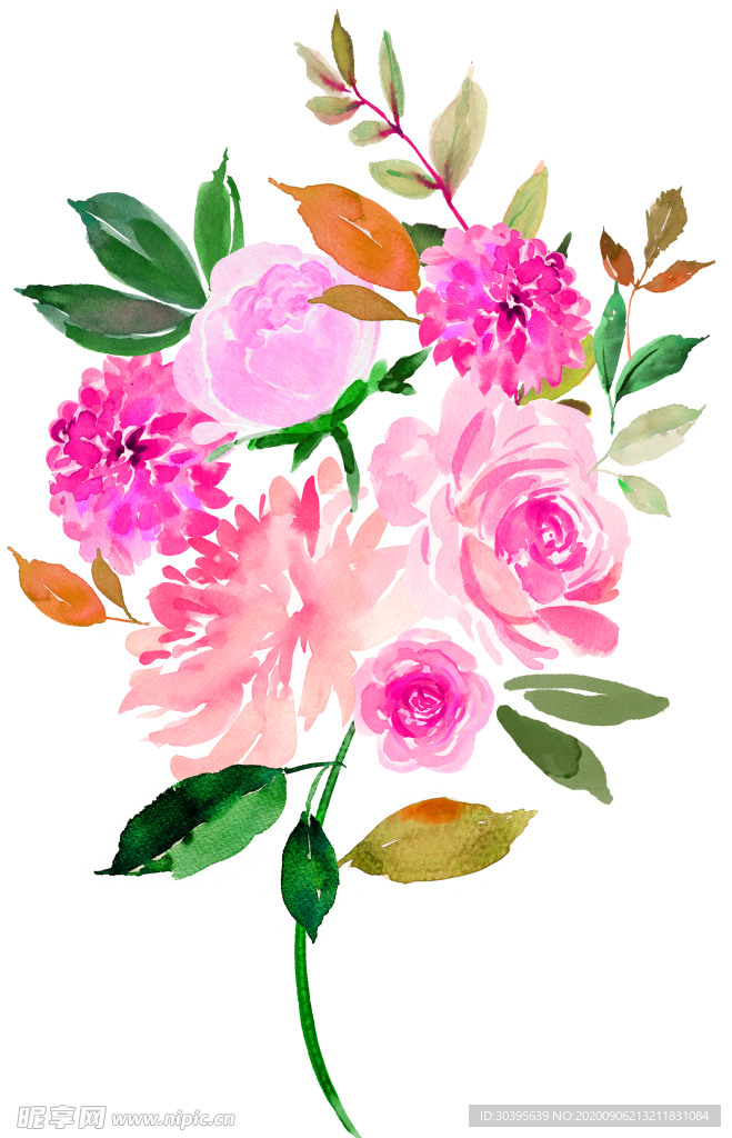 鲜花素材