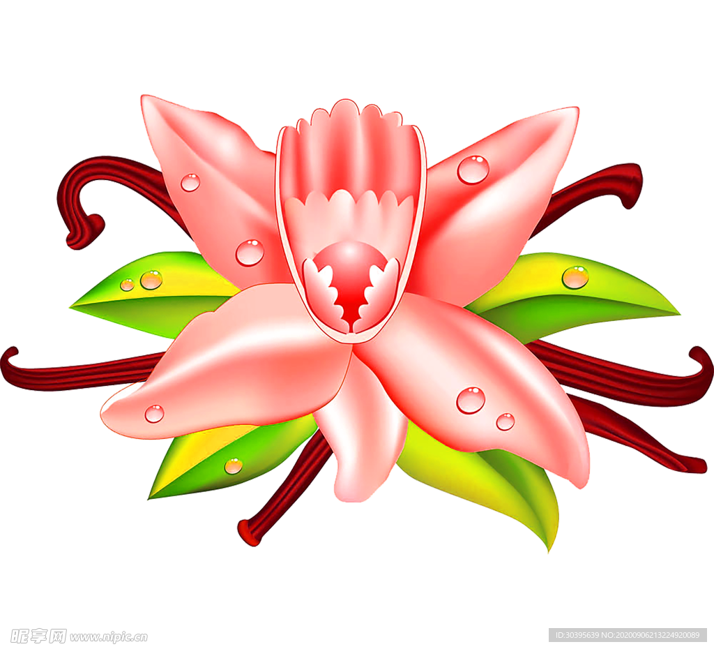 鲜花素材