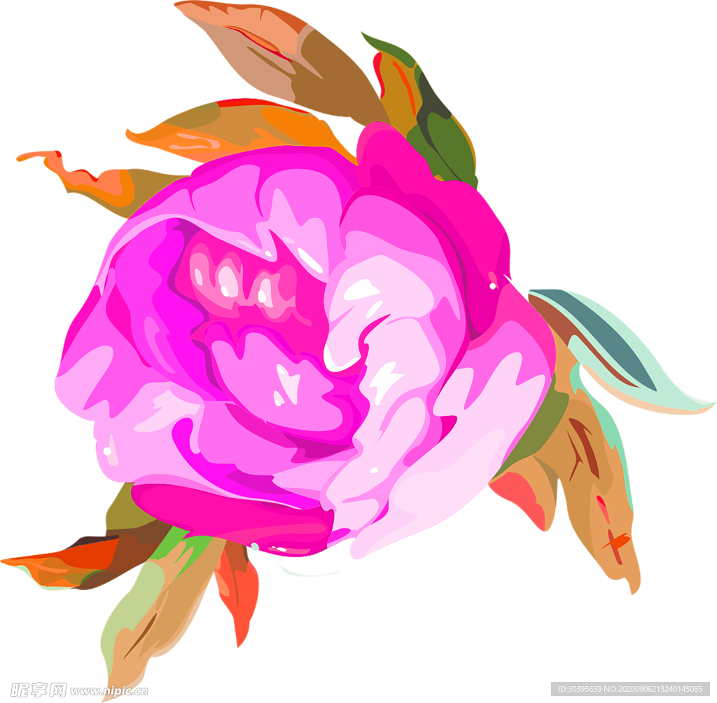 鲜花素材
