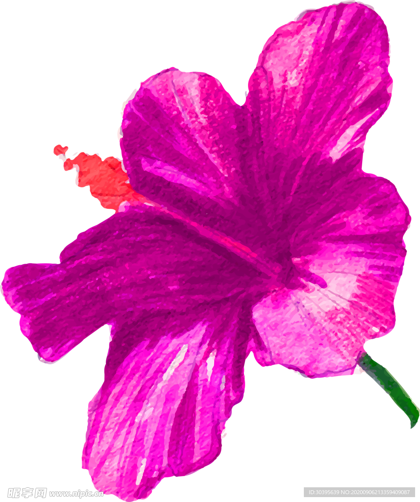 鲜花素材
