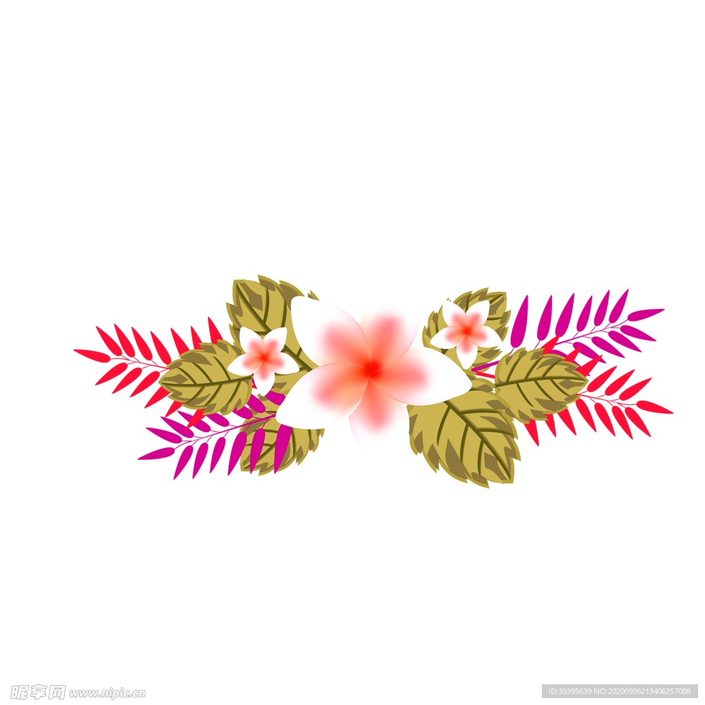 鲜花素材