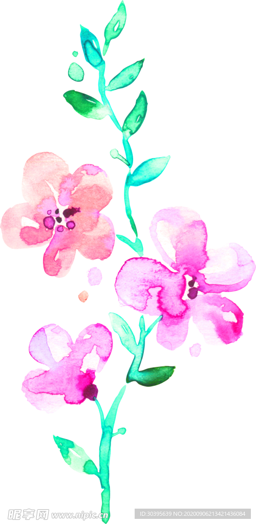 鲜花素材