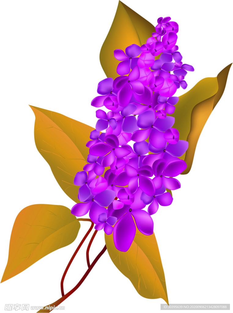 鲜花素材